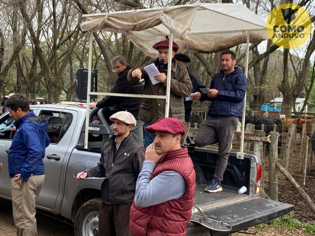 Marcos Matteucci Consignataria SRL